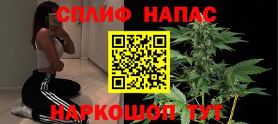 МДПВ Гусев