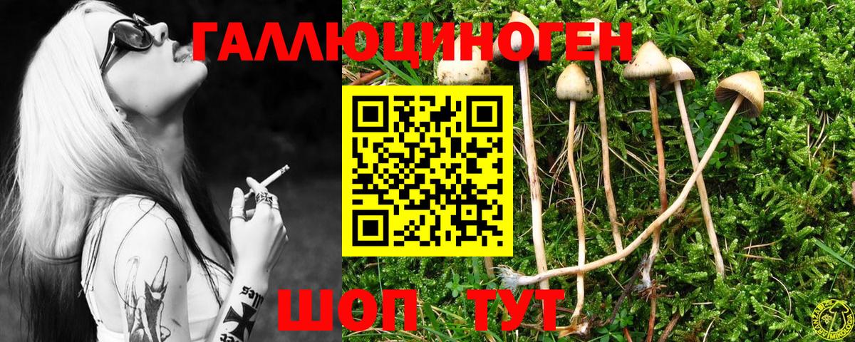 Дивногорск  Псилоцибиновые грибы прущие грибы  Вход с VPN  Галлюциногенные грибы MAGIC MUSHROOMS 