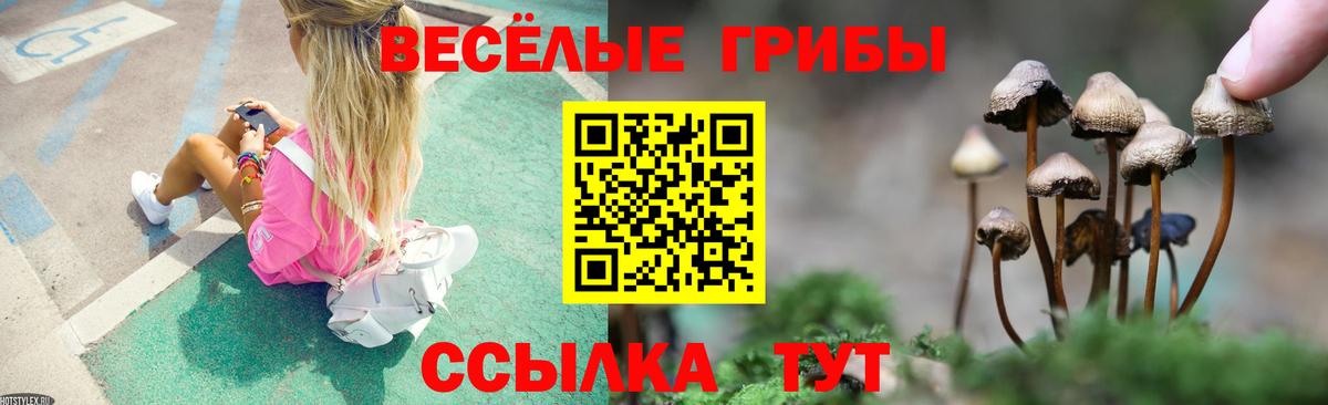 Галлюциногенные грибы Psilocybine cubensis Дивногорск